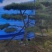 造型黑松造型油松景观松泰山松造型松