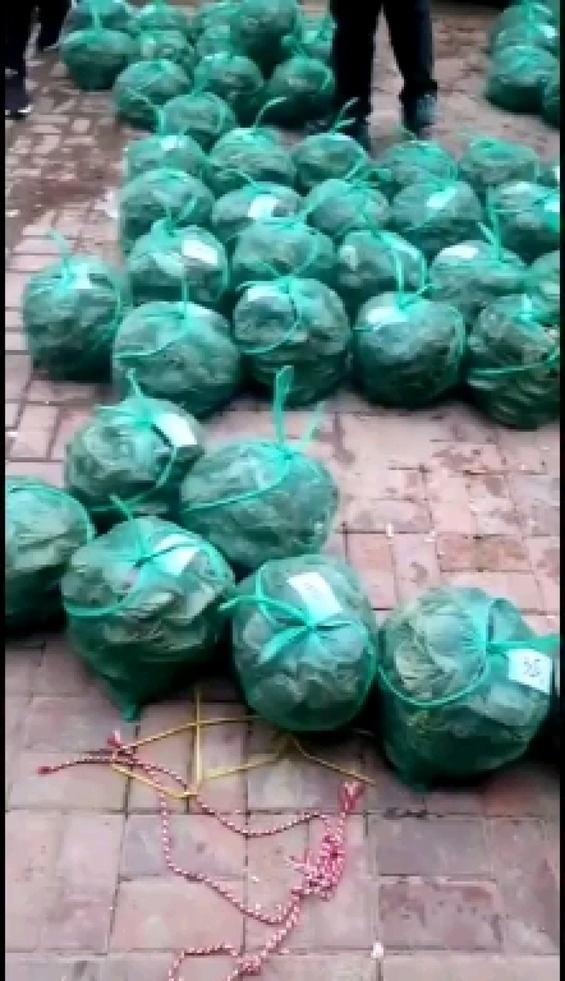螃蟹礼品预订中，中秋价格翻倍