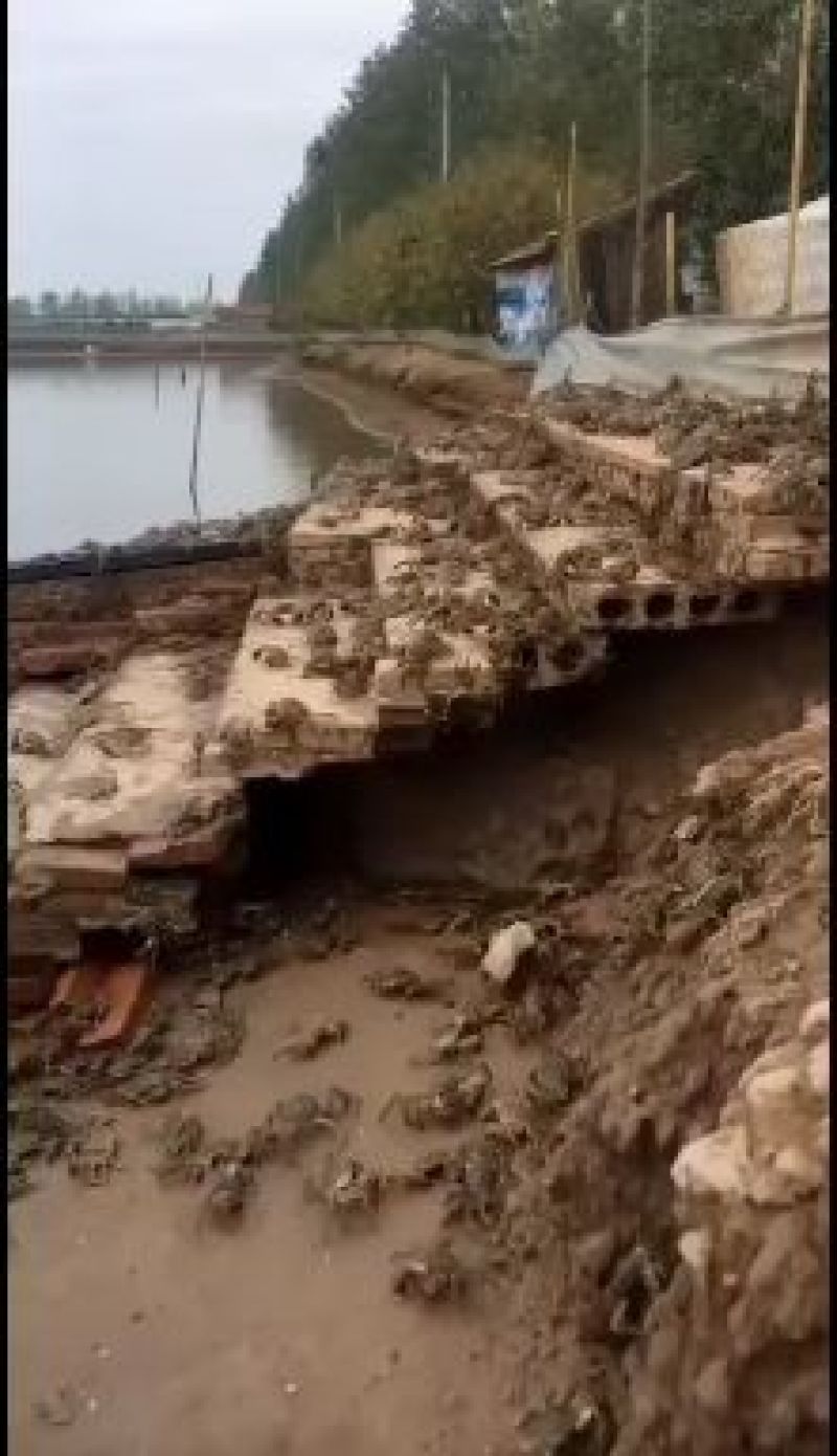 螃蟹礼品预订中，中秋价格翻倍