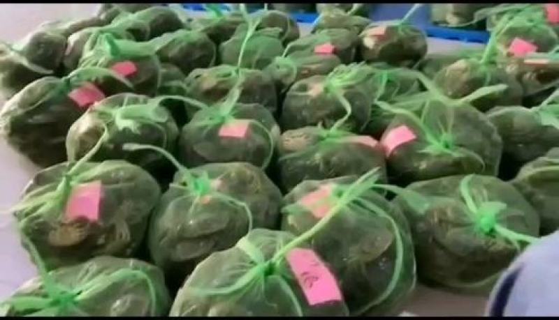 螃蟹礼品预订中，中秋价格翻倍