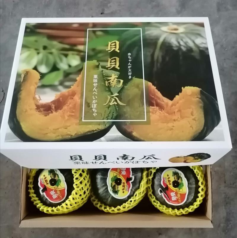 山东贝贝南瓜惠和贝贝全年供货支持一件代发