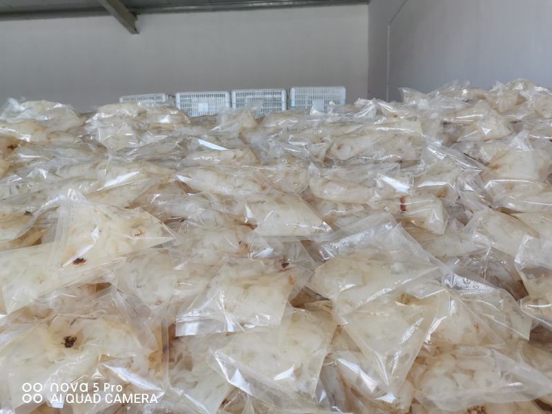 海蜇礼盒，龙头企业厂家直销优质原料，独特工艺，