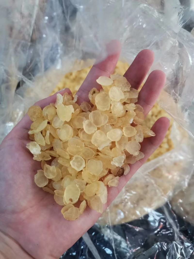 皂角米天然雪莲子野生高品质低糖产品批发