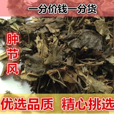 肿节风500g野生肿节风九节茶九节风草珊