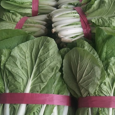 快菜，上海青，小油菜，油麦菜香菜，菠菜……超市商家直供