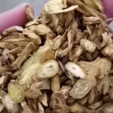 黄芩无硫甘肃颜色好