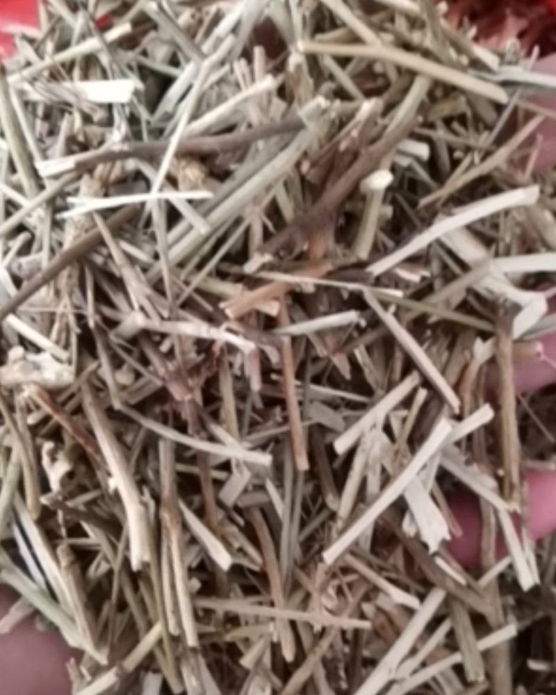 柴胡枝阳枝切断货