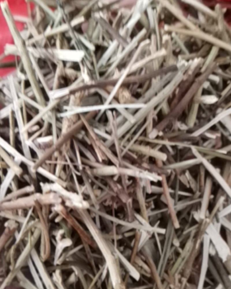 柴胡枝阳枝切断货