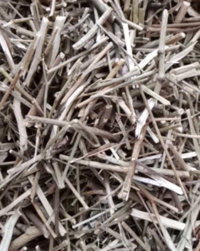 柴胡枝阳枝切断货