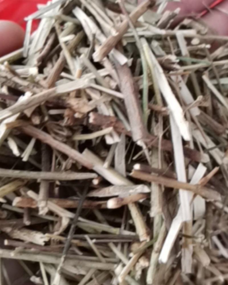 柴胡枝阳枝切断货