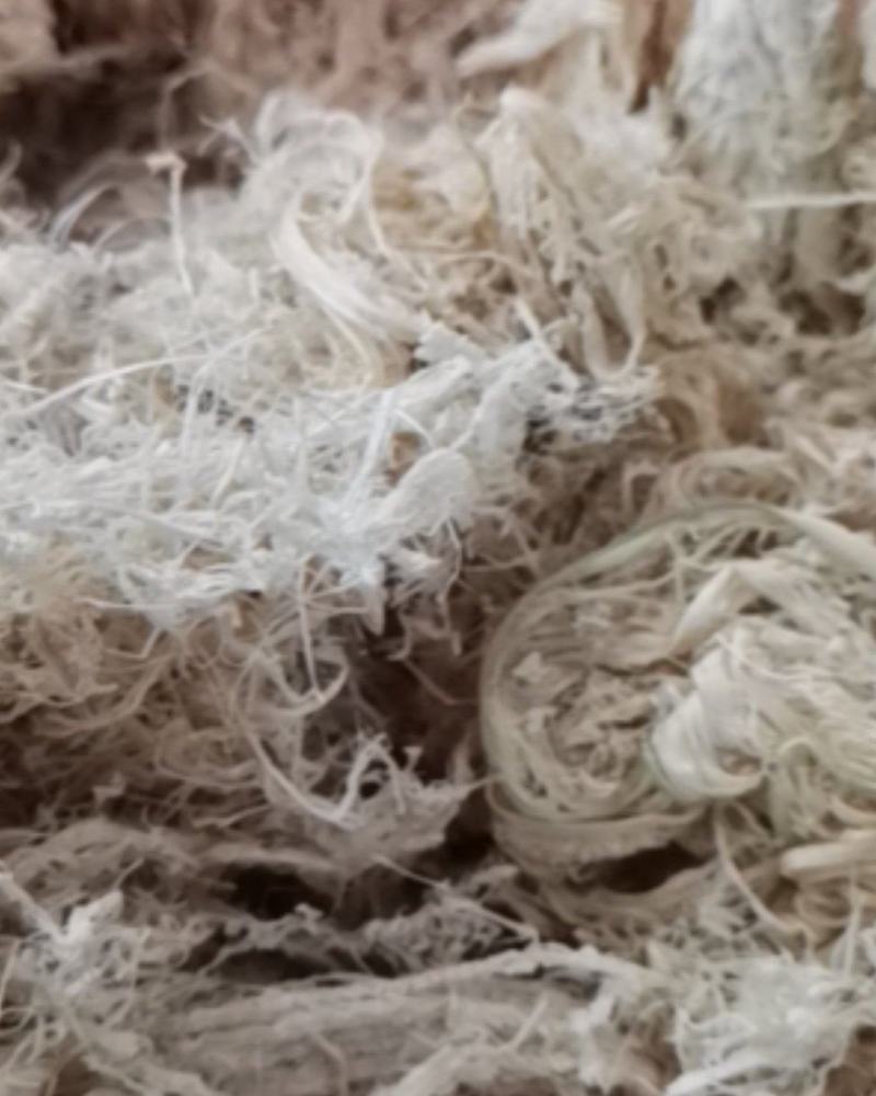 竹茹无硫个子货颜色鲜艳