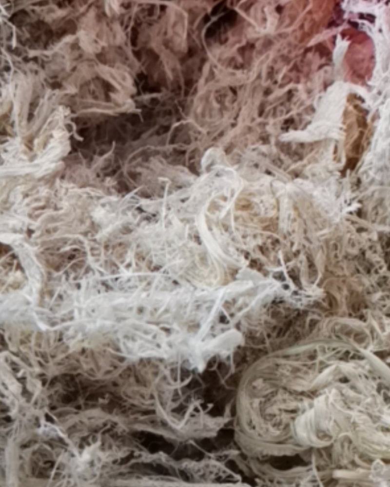 竹茹无硫个子货颜色鲜艳
