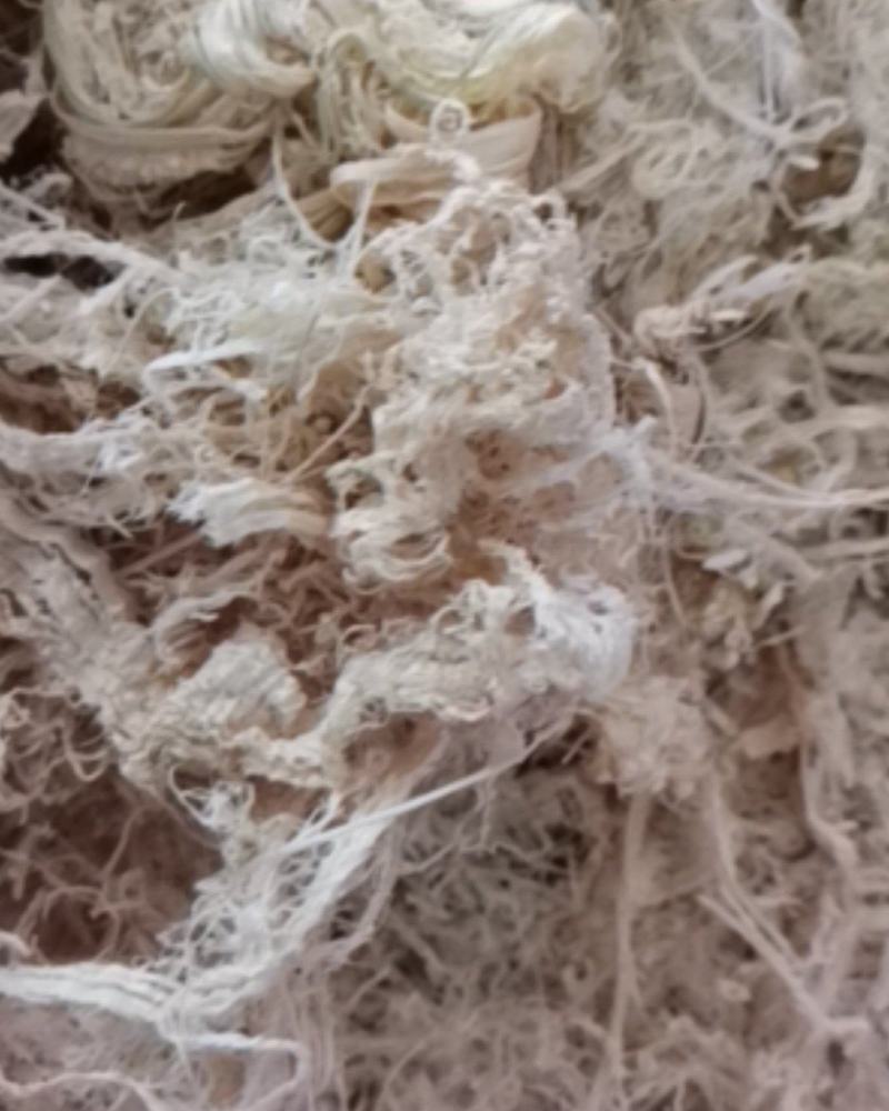 竹茹无硫个子货颜色鲜艳