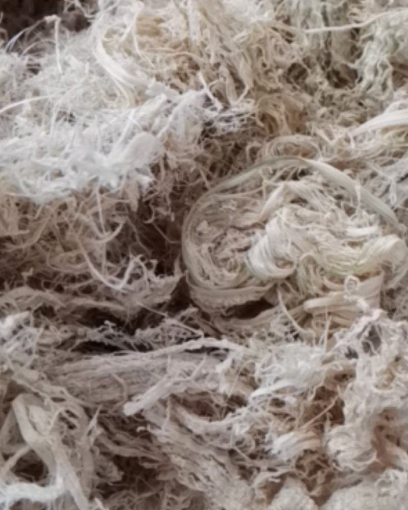 竹茹无硫个子货颜色鲜艳