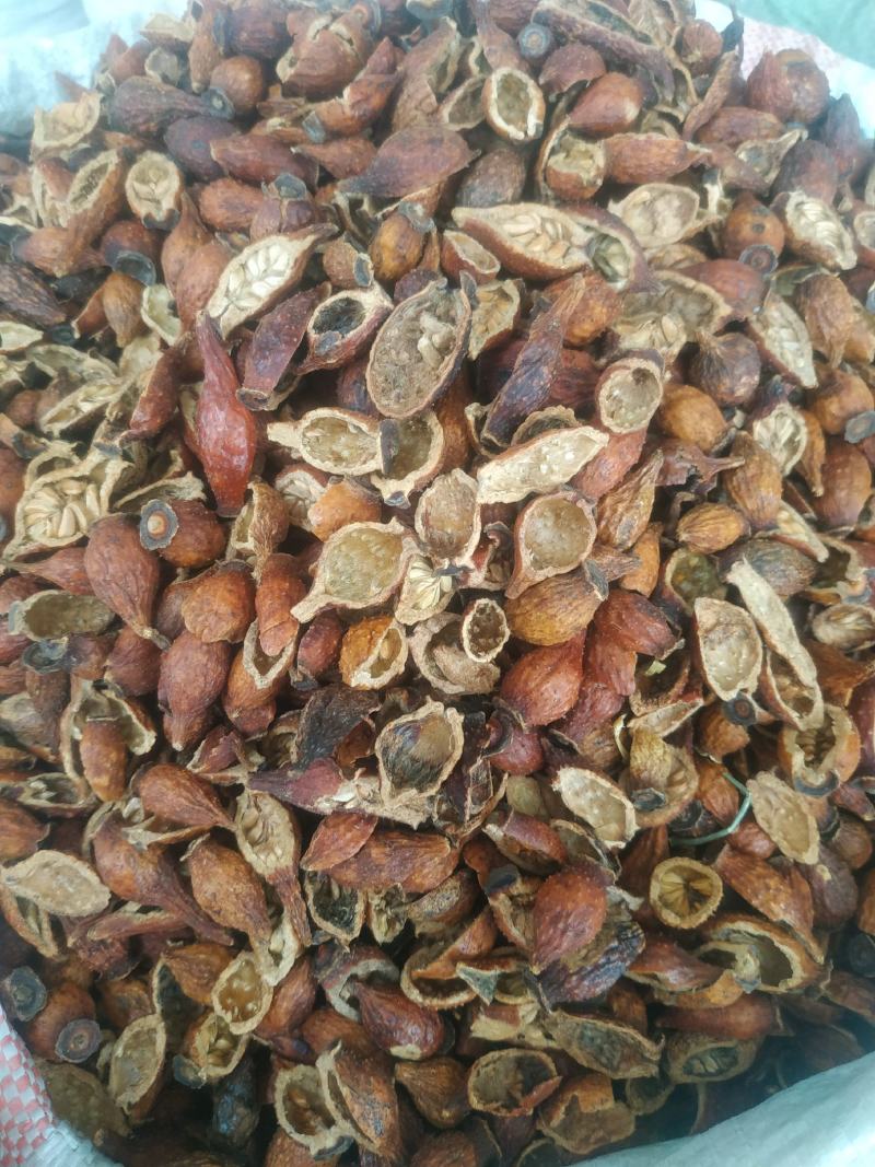 金樱子肉～新货～量大优惠～1公斤起售~欢迎咨询采购