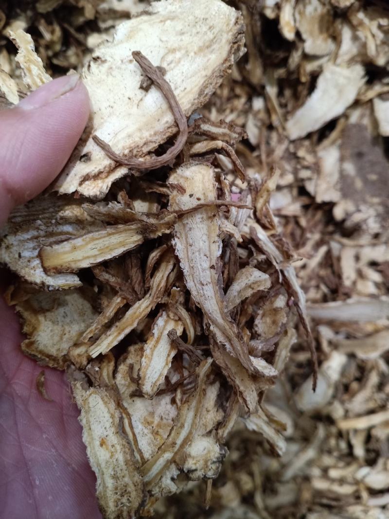 当归，当归统装切片，质量保证！经营各种中药材
