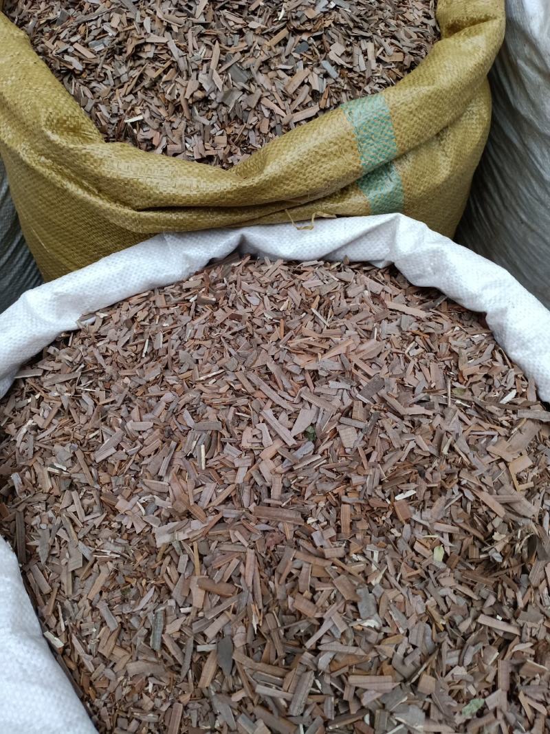 鬼箭羽，鬼羽箭，卫茅干净无杂质量保证！欢迎咨询购买！