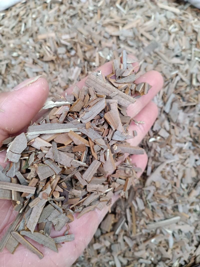 鬼箭羽，鬼羽箭，卫茅干净无杂质量保证！欢迎咨询购买！