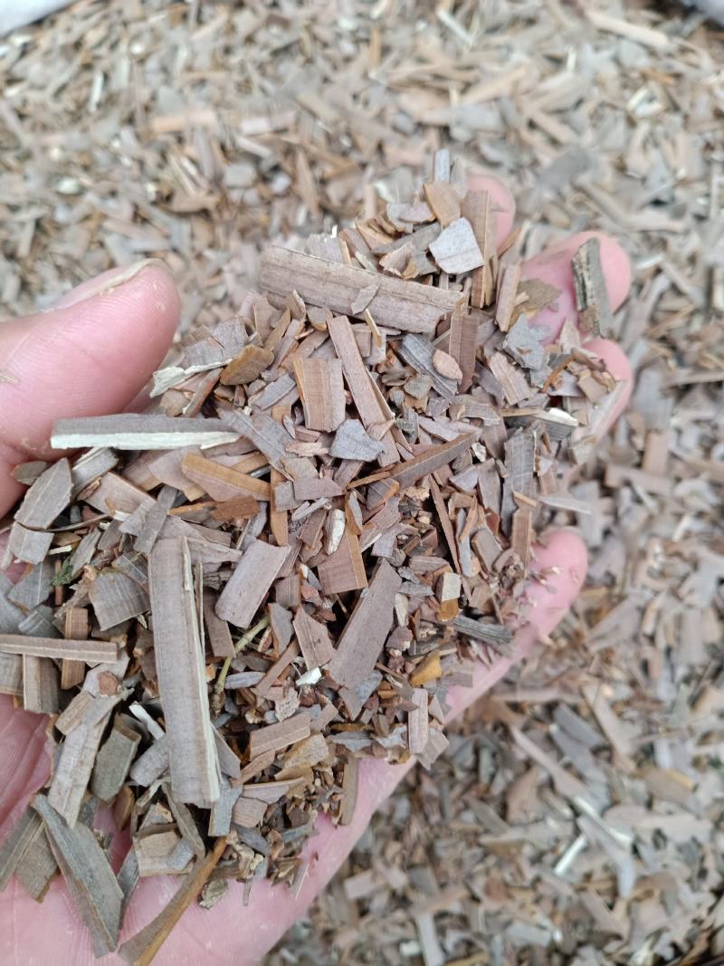 鬼箭羽，鬼羽箭，卫茅干净无杂质量保证！欢迎咨询购买！