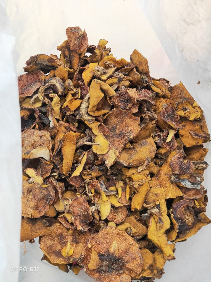河北承德精品松蘑烤干去跟货