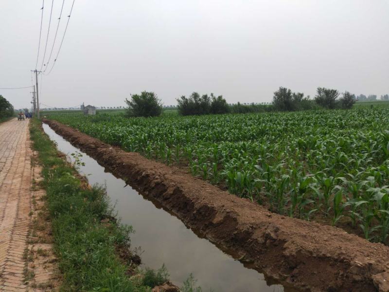 水浇地壤土黑土地可种麒麟西瓜玉米小麦谷子高粱