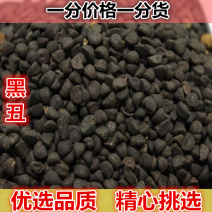 黑丑500g有白丑农家种植牵牛子黑牵牛