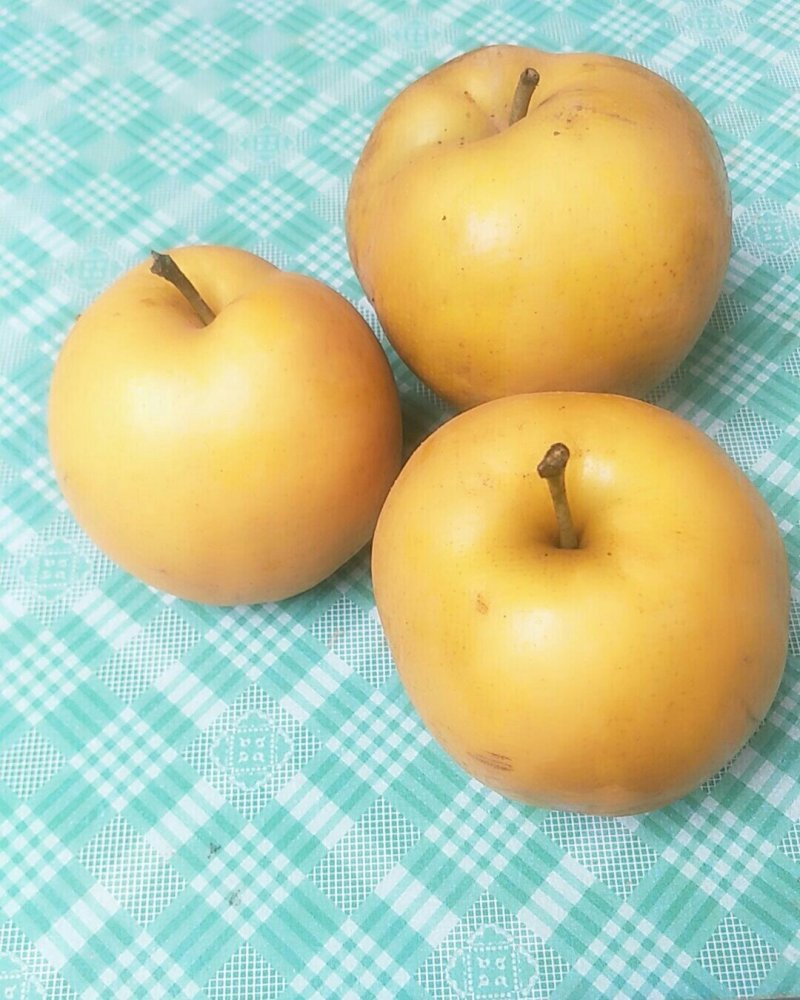 新野优质甘香甜黄金梨