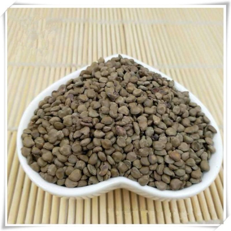 望江南羊角豆山绿豆假决明狗屎豆500g