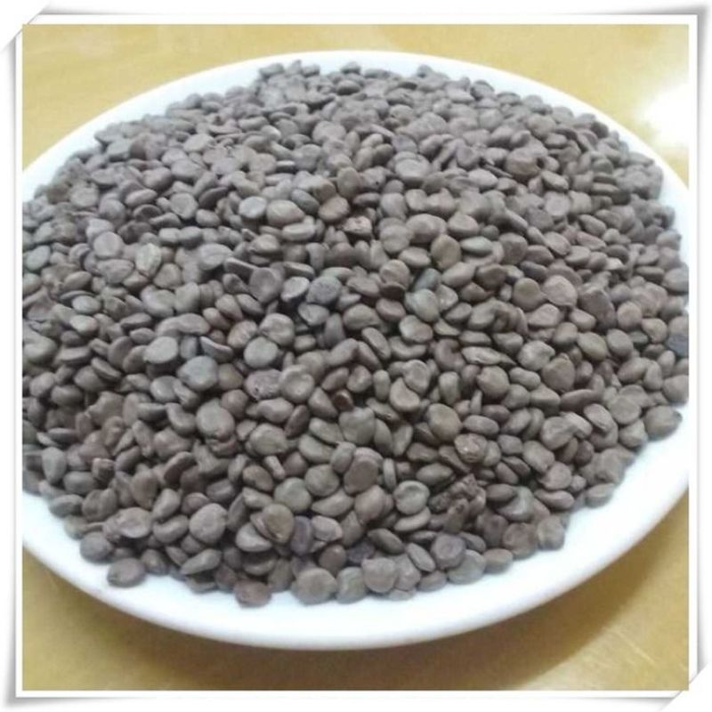 望江南羊角豆山绿豆假决明狗屎豆500g