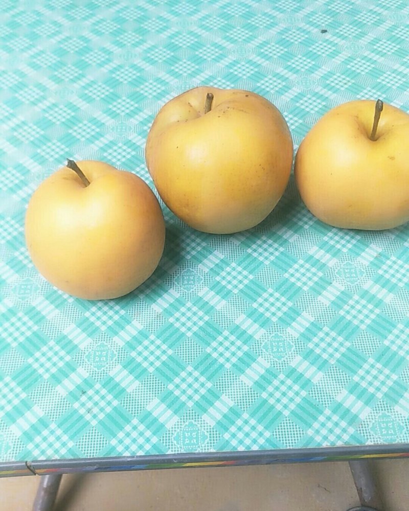 新野优质甘香甜黄金梨