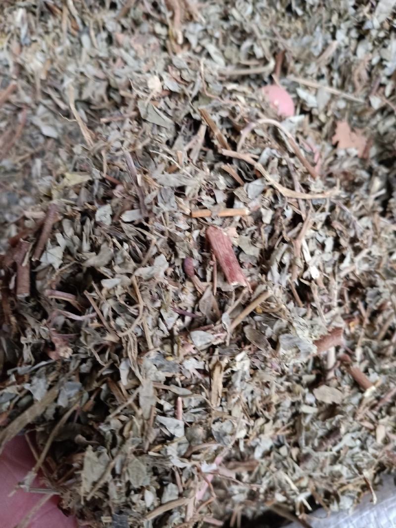 叶下珠中药材珍珠草，药用叶下珠干净无杂质量保证！量大从优