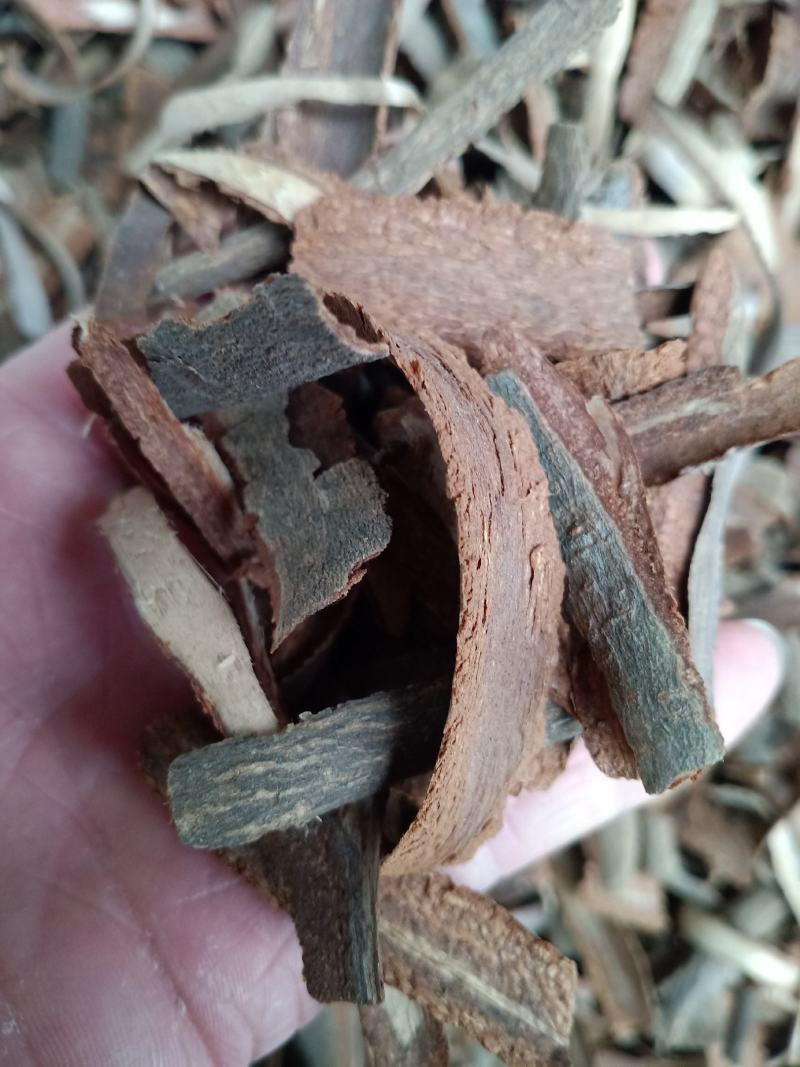 地枫皮，钻地枫干净无杂质量保证！