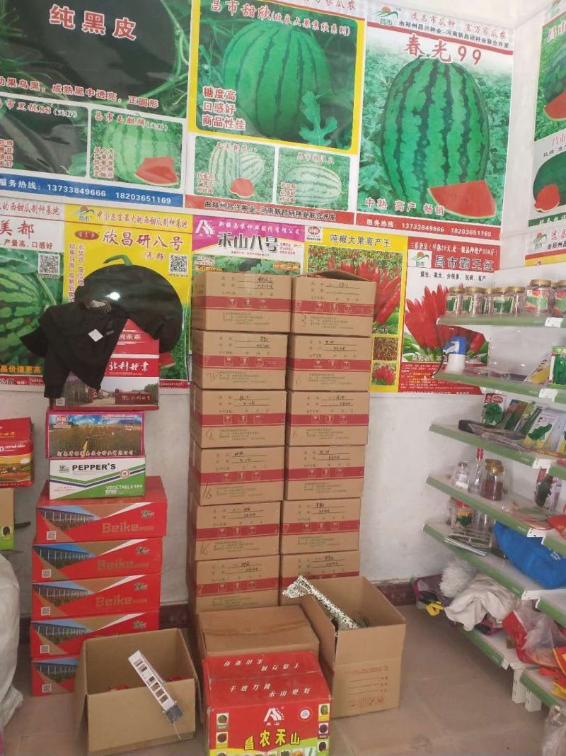 龙卷风西瓜种子大果高抗病不整枝不打杈皮坚韧耐储运。