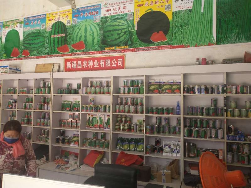 龙卷风西瓜种子大果高抗病不整枝不打杈皮坚韧耐储运。