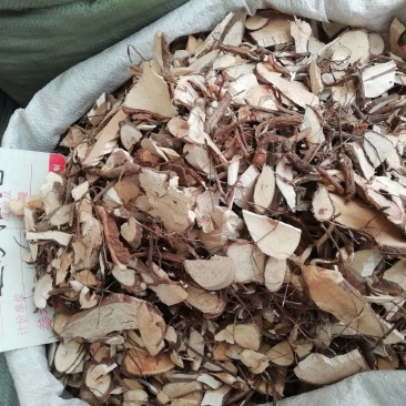 纯正全根红走马胎根，白马胎根部