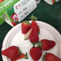 红玉草莓苗优质红玉草莓苗批发签订品种合同成活率高