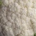 65，80，90，108天有机花菜苗，松花菜苗，散花苗