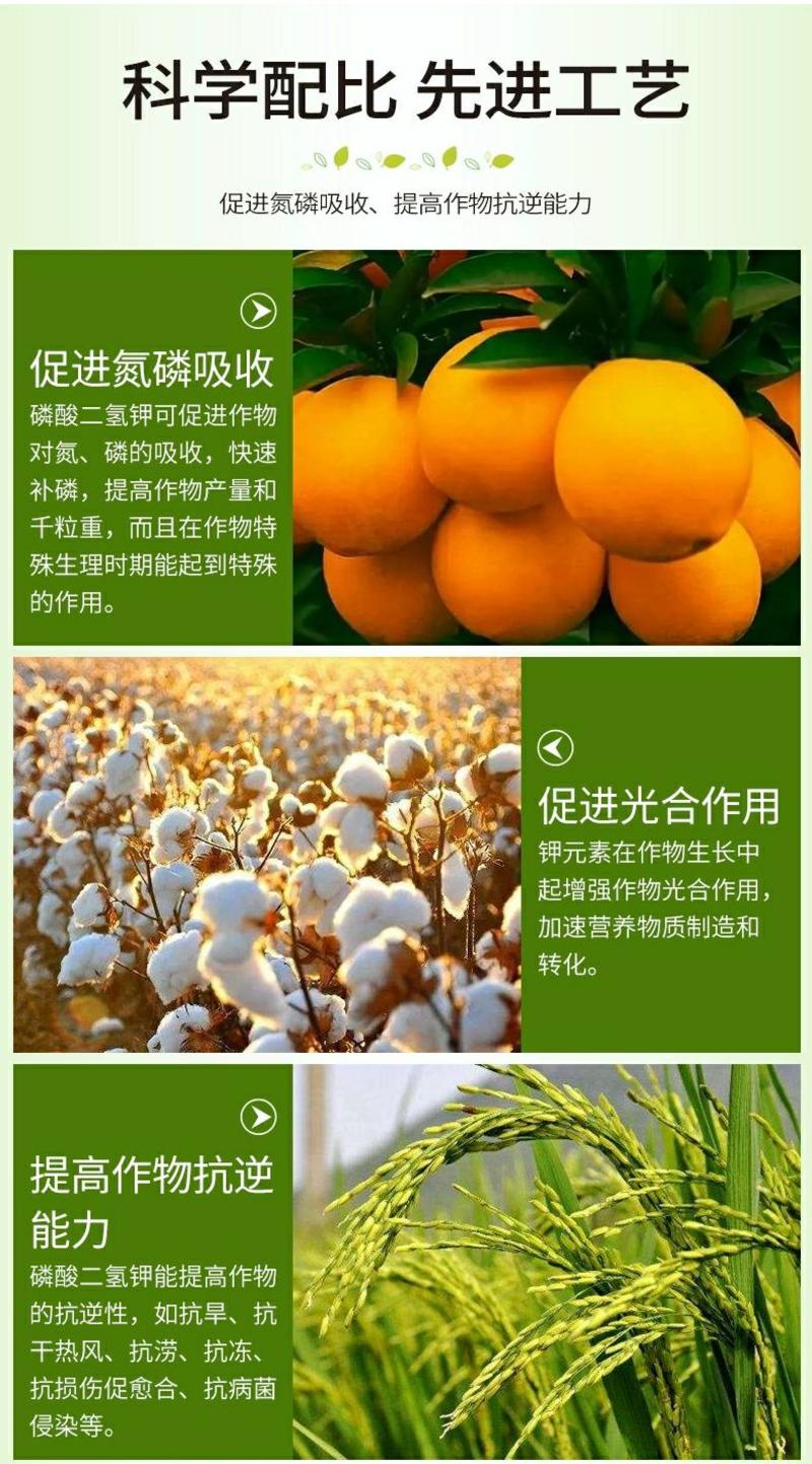99%磷酸二氢钾蔬菜花卉水果水稻小麦壮根促花促果