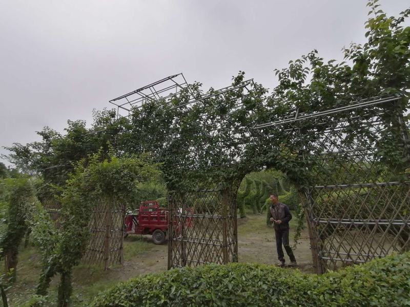 红梅牌坊造型成都基地大量供应，红梅牌坊造型价格
