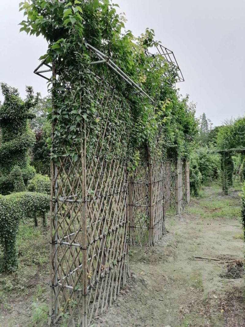 红梅牌坊造型成都基地大量供应，红梅牌坊造型价格