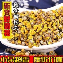 筛选野菊花250g500g野黄菊花可做野菊花枕头