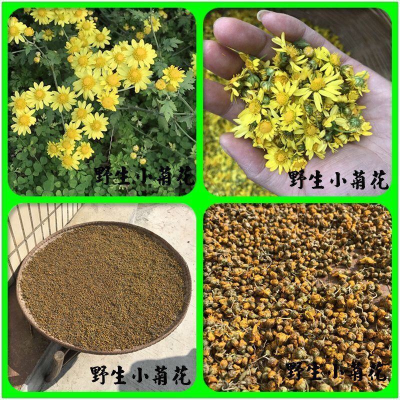 筛选野菊花250g500g野黄菊花可做野菊花枕头