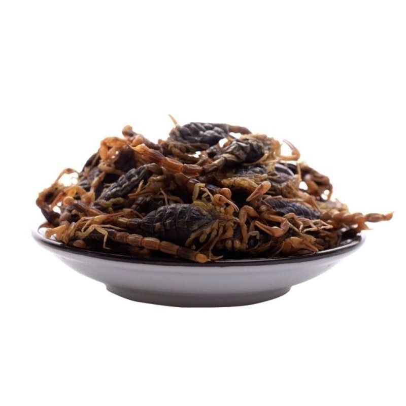 中药材新货全蝎蝎子干清水蝎子药用全蝎干七八成干