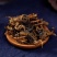 中药材新货全蝎蝎子干清水蝎子药用全蝎干七八成干
