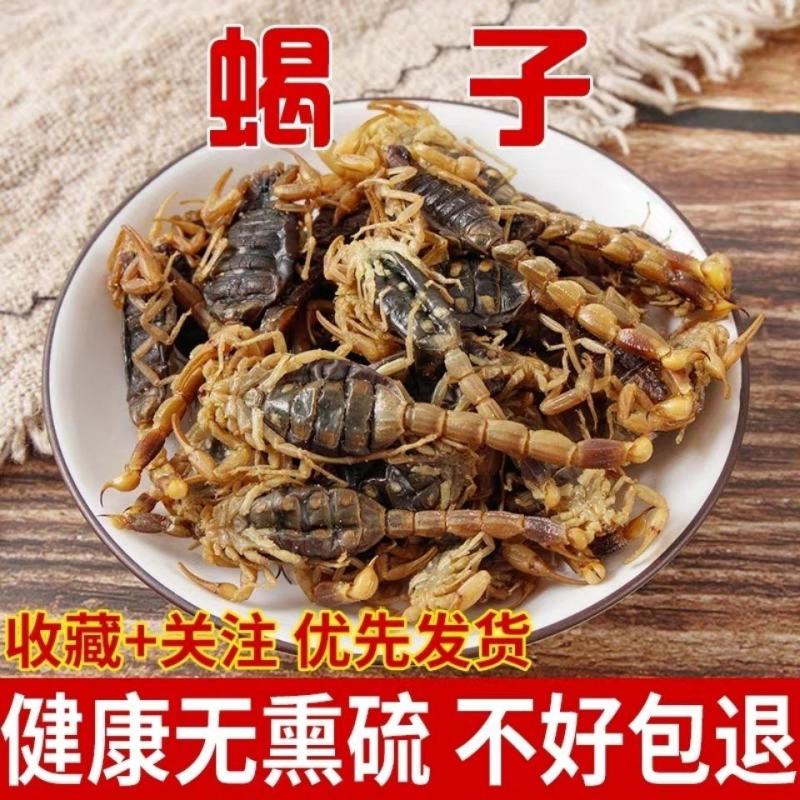 中药材新货全蝎蝎子干清水蝎子药用全蝎干七八成干