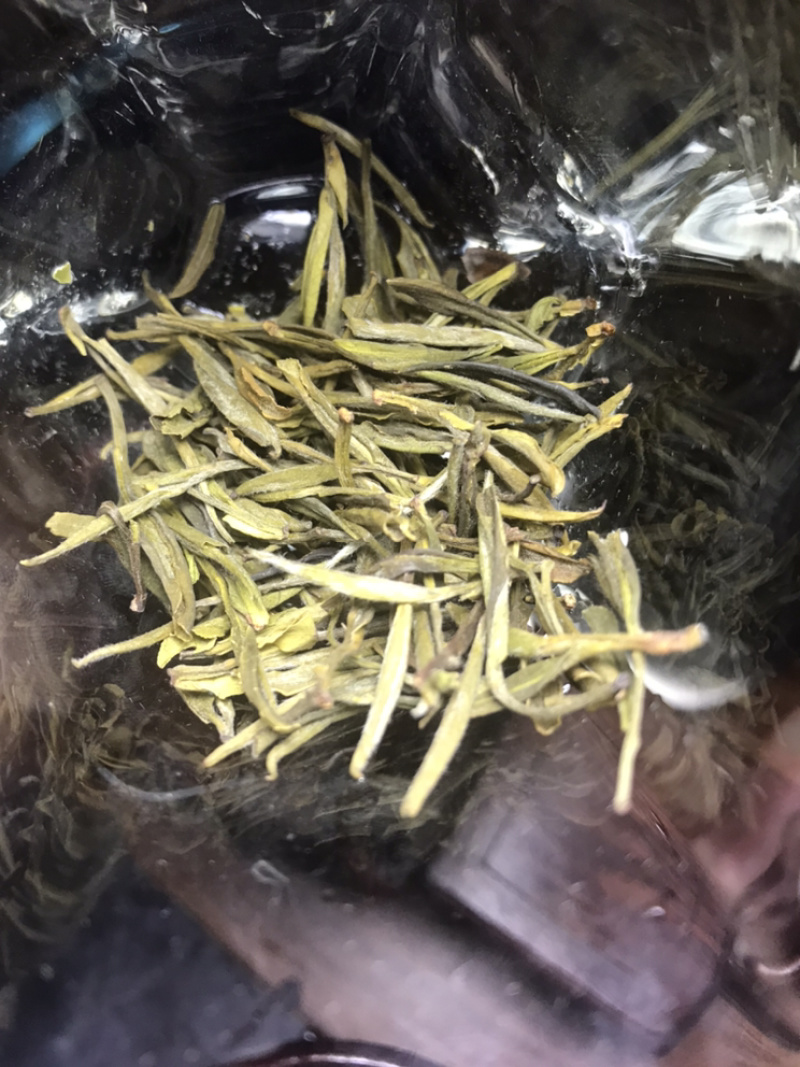出口品质陈茶黄芽100一斤包邮