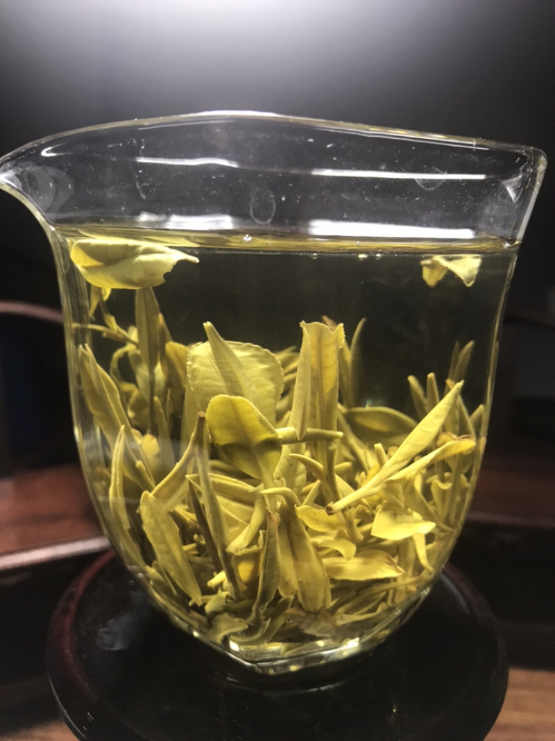 出口品质陈茶黄芽100一斤包邮