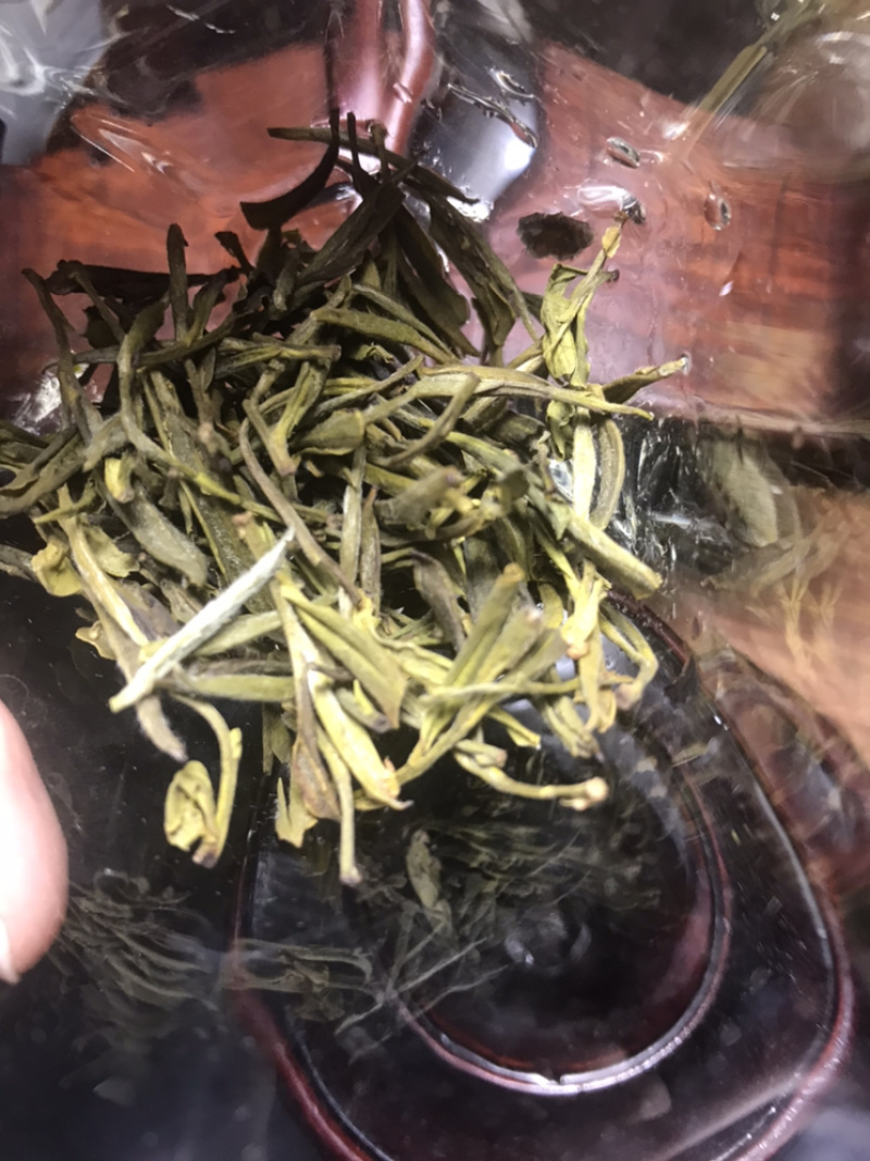 出口品质陈茶黄芽100一斤包邮