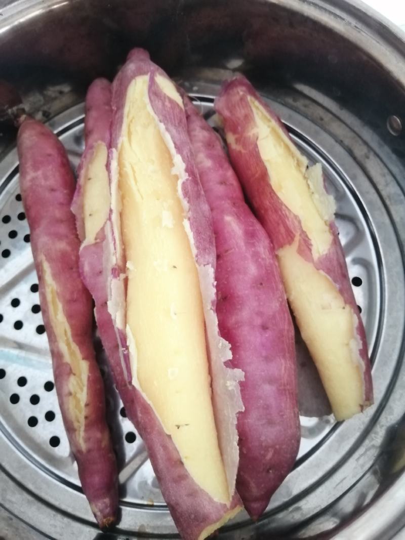 沙土地板栗红薯供应各大平台