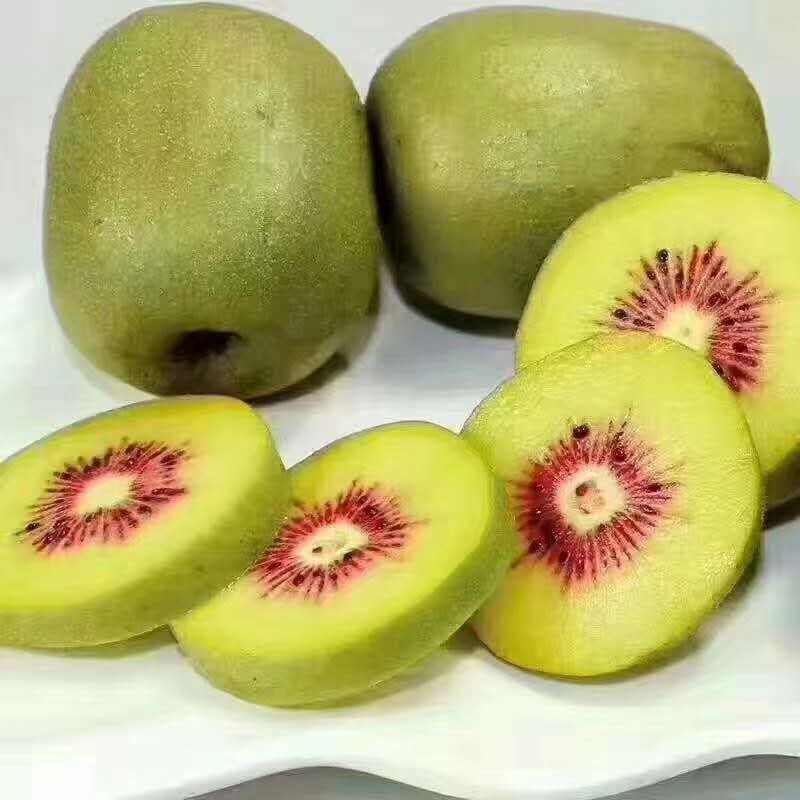 有机水果食品，红心弥猴桃